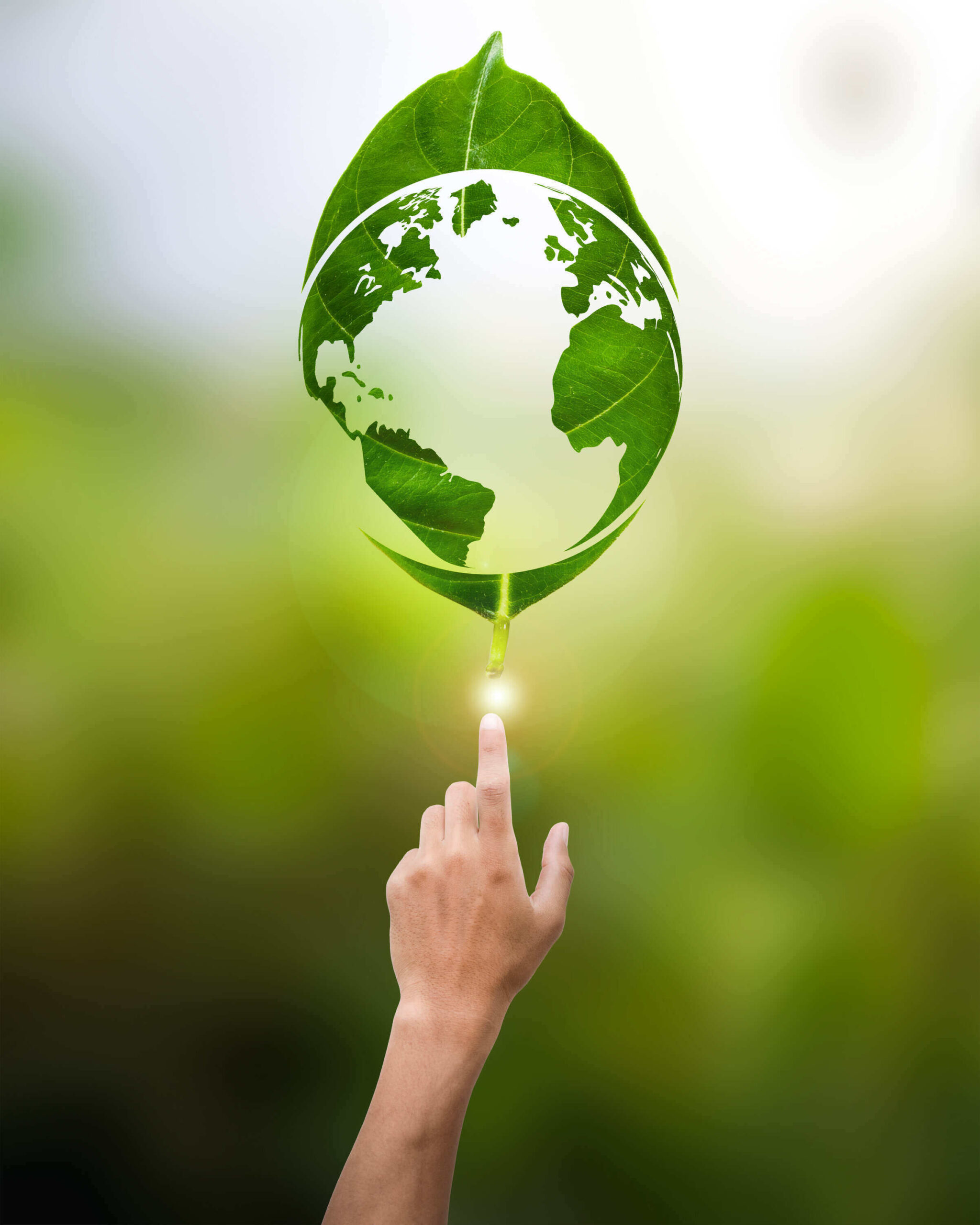 Human,Hand,Pointing,World,Map,In,Green,Leaf,Environmental,Concept Human,Hand,Pointing,World,Map,In,Green,Leaf,Environmental,Concept